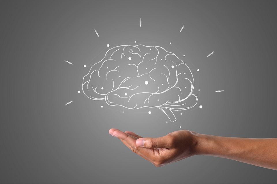 “My brain smells” (part 2), de Prof. Edward Ziff, no blog Neurociências em Debate