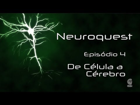 NeuroQuest – Vídeocast – Episódio 4: De célula a Cérebro