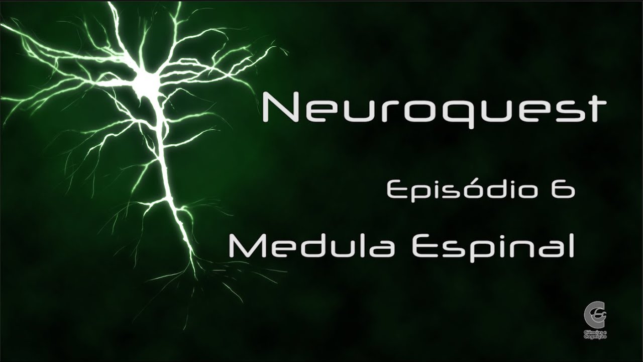 Neuroquest – Vídeocast – Episódio 06 – Medula Espinal