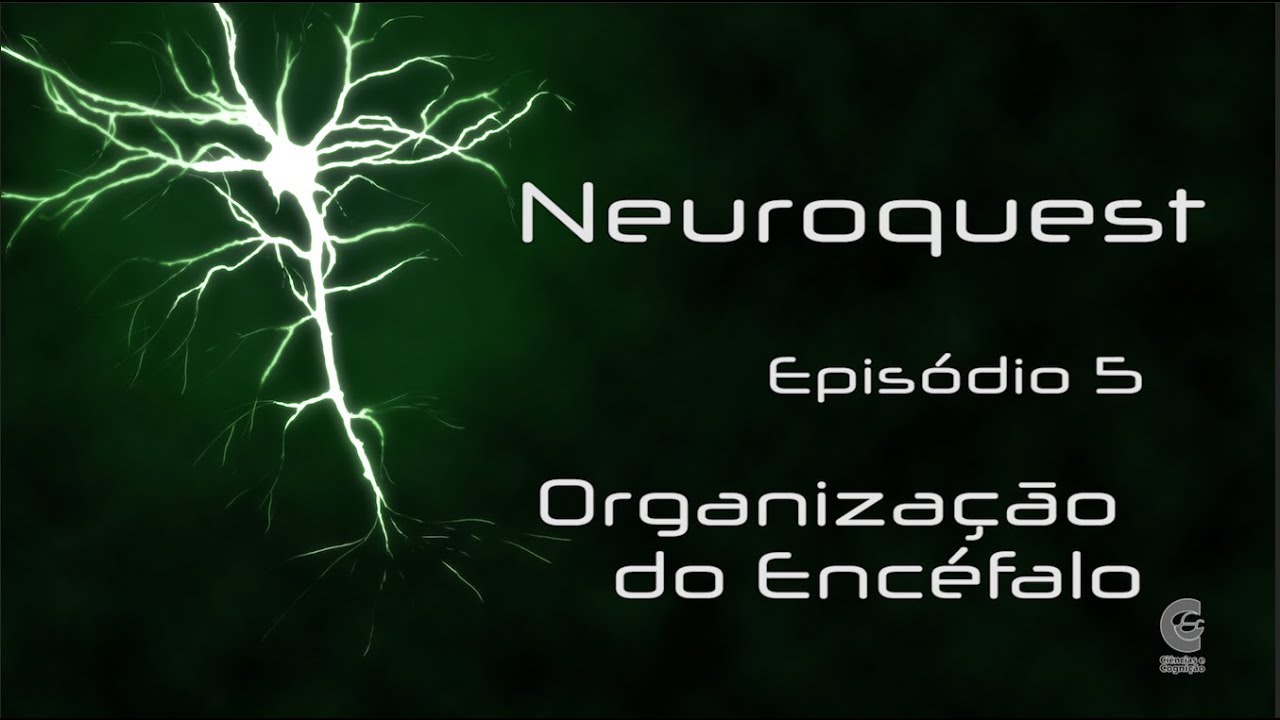 Neuroquest – Episódio 05 – Organização do Encéfalo