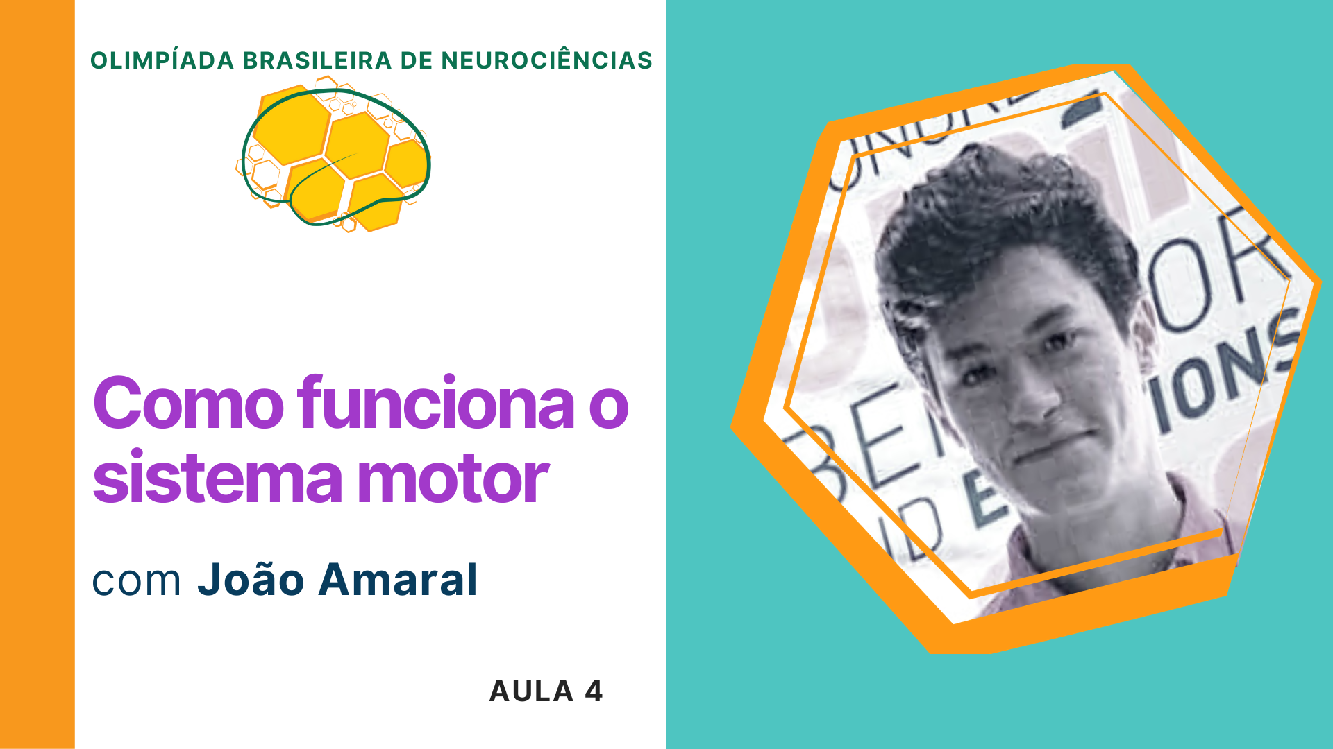 Como funciona o sistema motor | Olimpíada Brasileira de Neurociências