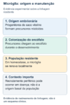 Esquema de linhagem da micróglia: progenitores mieloides embrionários do saco vitelino colonizam o encéfalo em desenvolvimento; a população residente se mantém localmente em homeostase. Células mieloides periféricas podem aparecer em contextos patológicos, mas isso não define a origem normal da micróglia.